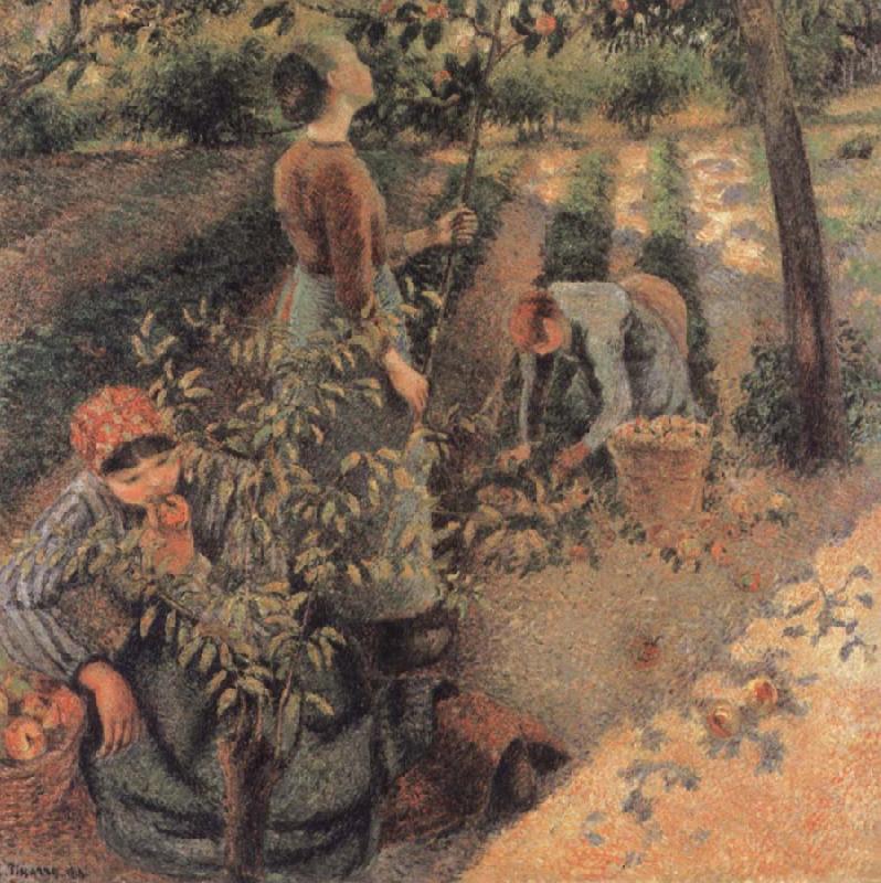 Camille Pissarro The Apple Pickers Germany oil painting art